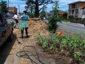 Longfellow median greening 3