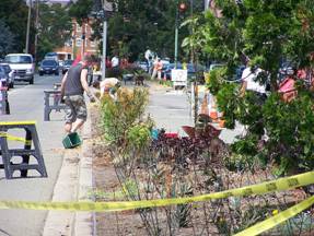 Longfellow median greening 4