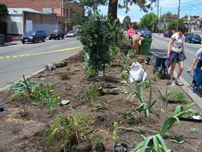 Longfellow median greening 5