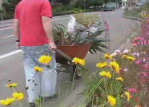 40th and Shafter planting