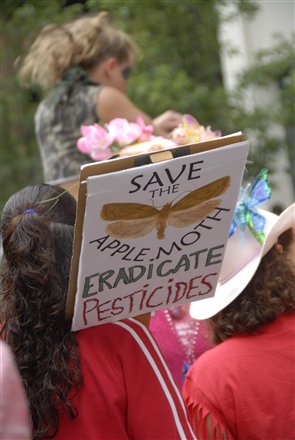 save moth
